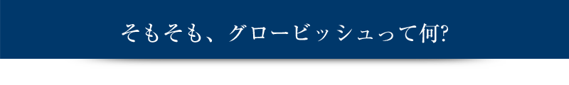 そもそも、グロービッシュって何?